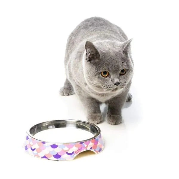[15% OFF] Fuzzyard Sushi Delight Cat Bowl