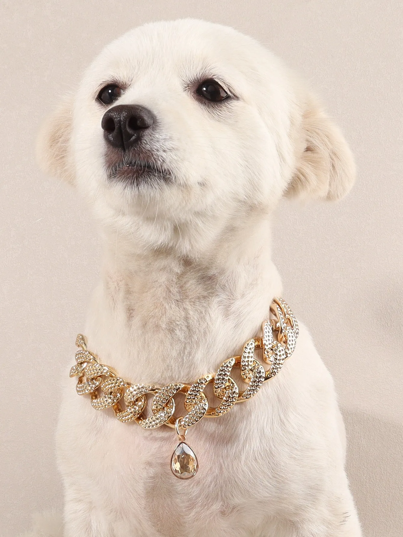 1pc Rhinestone Decor Pet Necklace