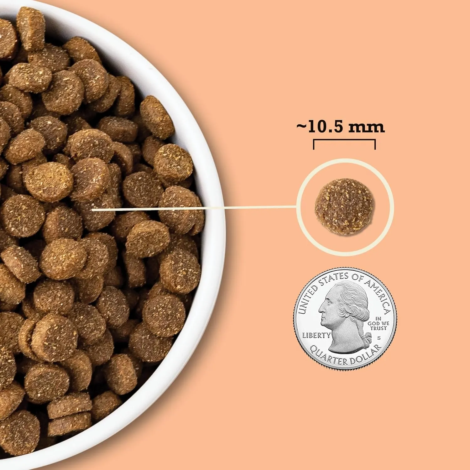 ACANA Wholesome Grains Dry Dog Food, Puppy Recipe, Real Chicken, Eggs and Turkey Dog Food Recipe, 22.5lb