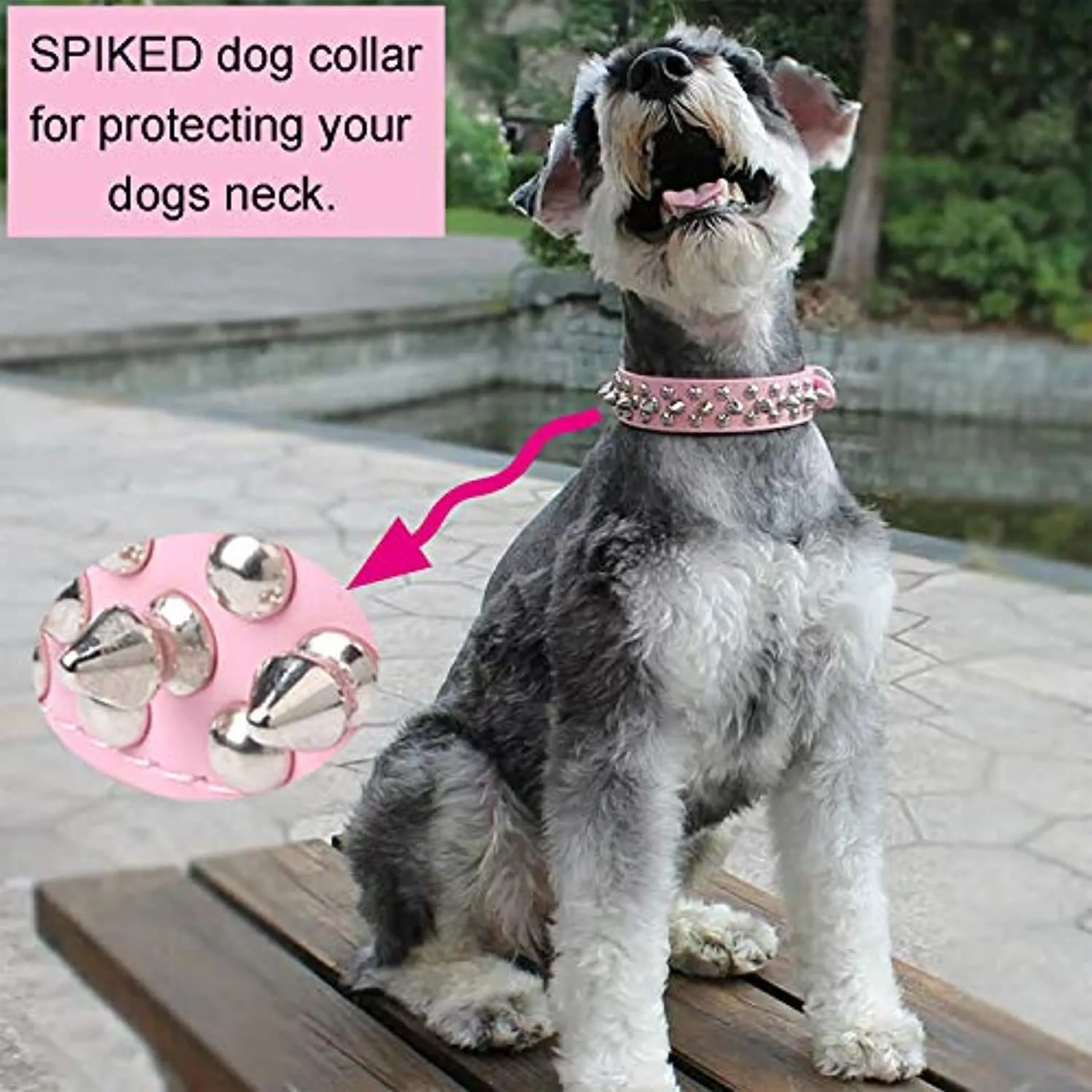 Adjustable Leather Spiked Studded Dog Collars with a Squeak Ball