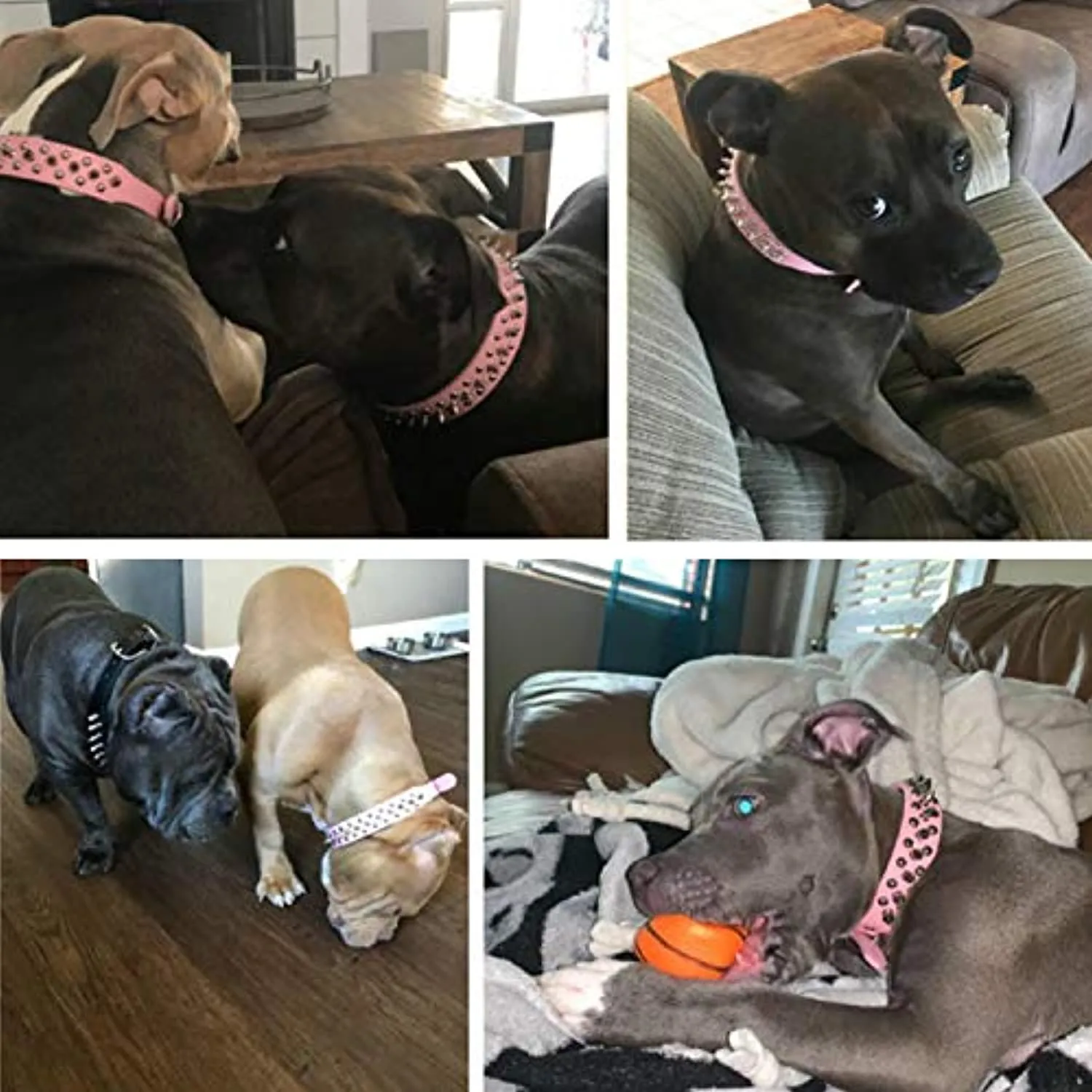 Adjustable Leather Spiked Studded Dog Collars with a Squeak Ball