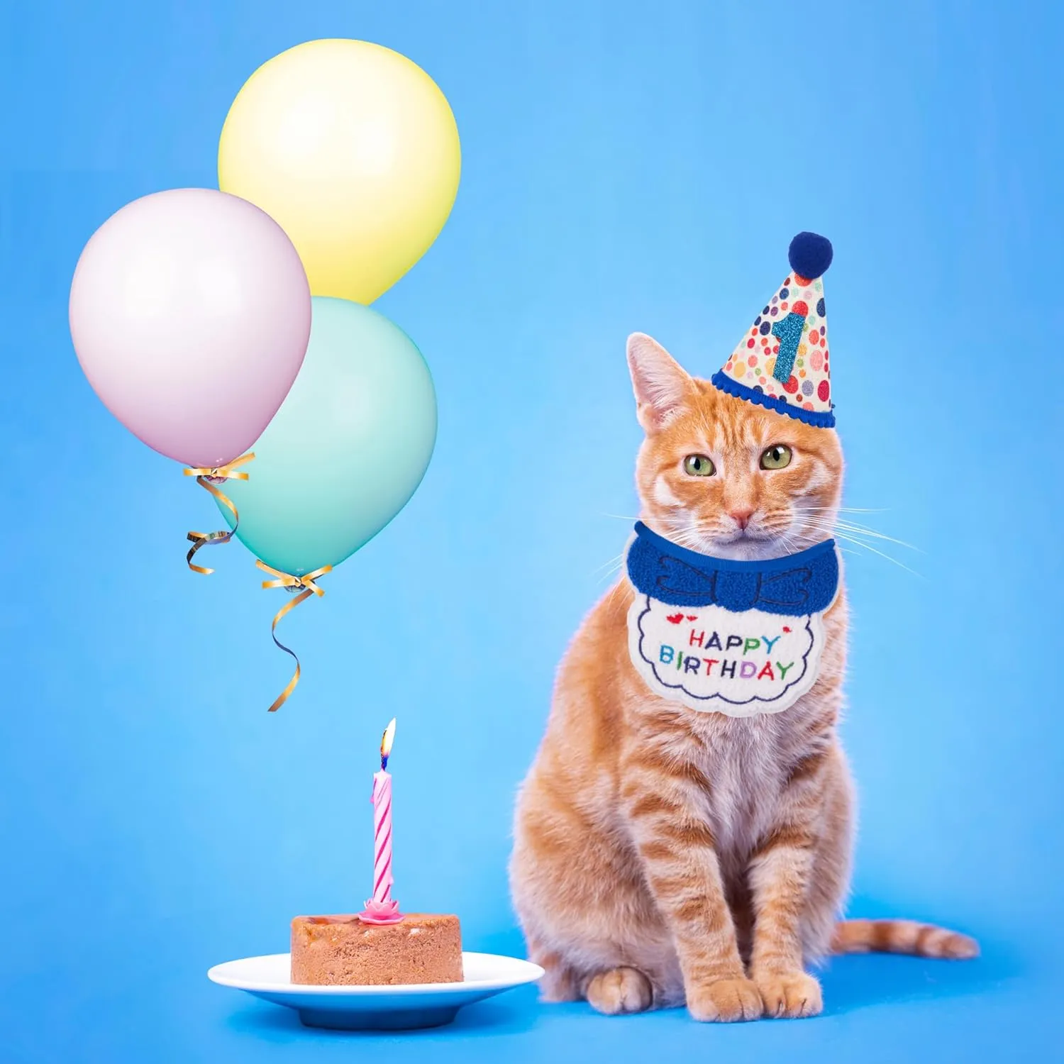 ADOGGYGO Cat Birthday Party Supplies, Blue Boy Cat Kitten Birthday Bandana Hat Numbers Pet Birthday Decorations Outfits