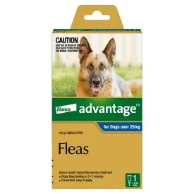 Advantage - Flea Treatment for Dogs over 25kg (1pk)