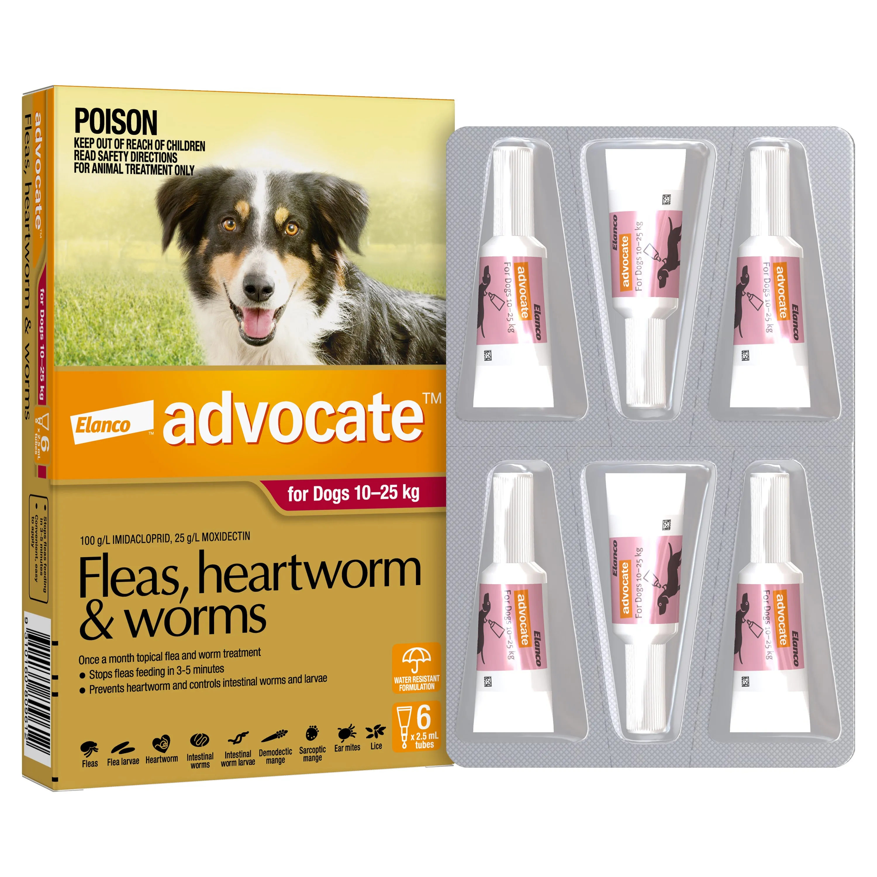 Advocate - Dog 10-25kg (6pk)