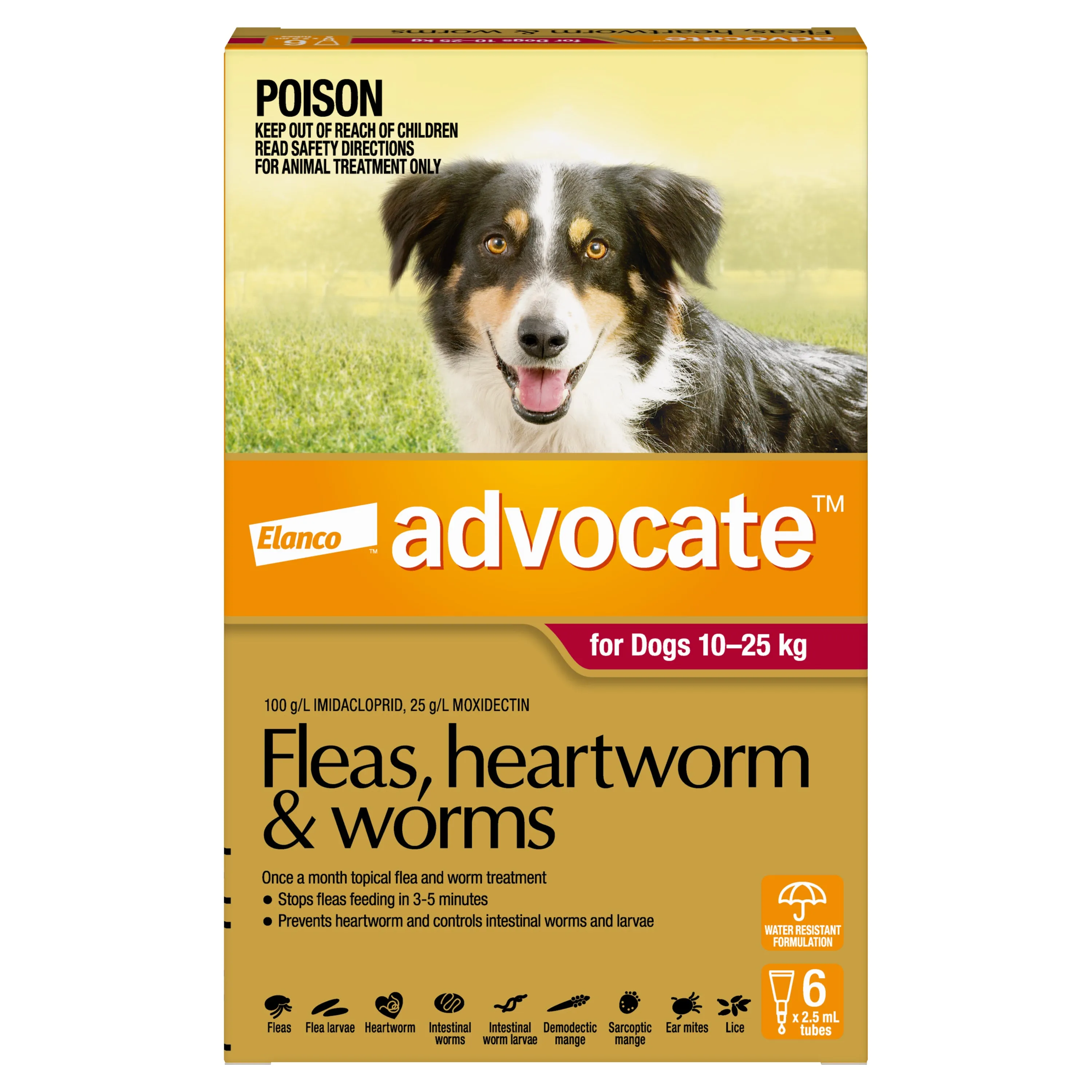Advocate - Dog 10-25kg (6pk)