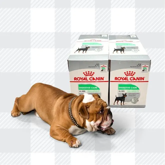 AETN Creations Digestive Care Wet Dog Food Pack 2x12x85g Plus Jerky Treat, Formulated To Support Optimal Health In Adult Dogs