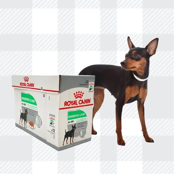 AETN Creations Digestive Care Wet Dog Food Pack 2x12x85g Plus Jerky Treat, Formulated To Support Optimal Health In Adult Dogs