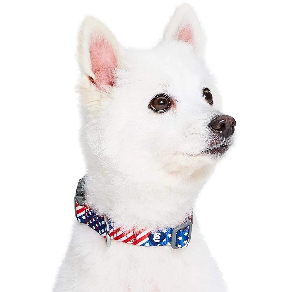 American Flag Dog Collar for Stylish Pet Patriotism