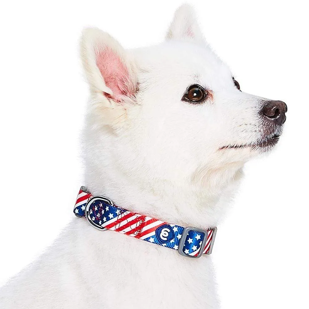 American Flag Dog Collar for Stylish Pet Patriotism