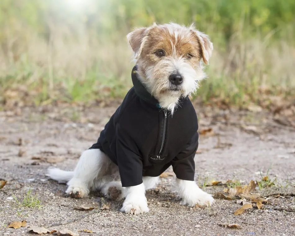 Back On Track Bianca Dog Jumper