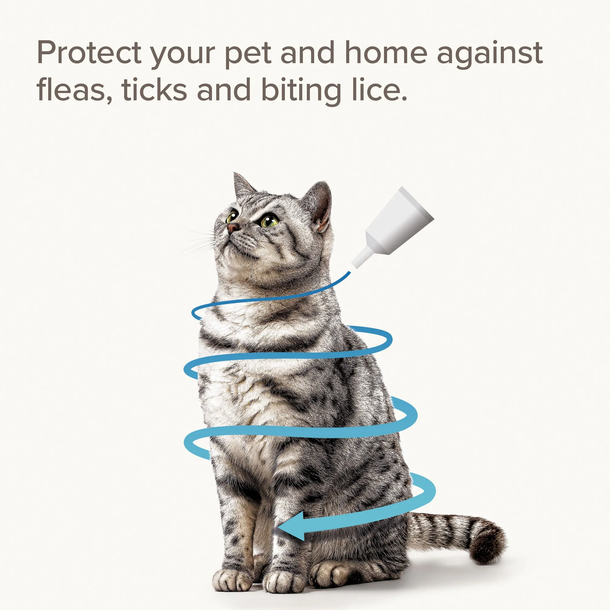 Beaphar FIPROtec® COMBO Flea & Tick Spot-On for Cats