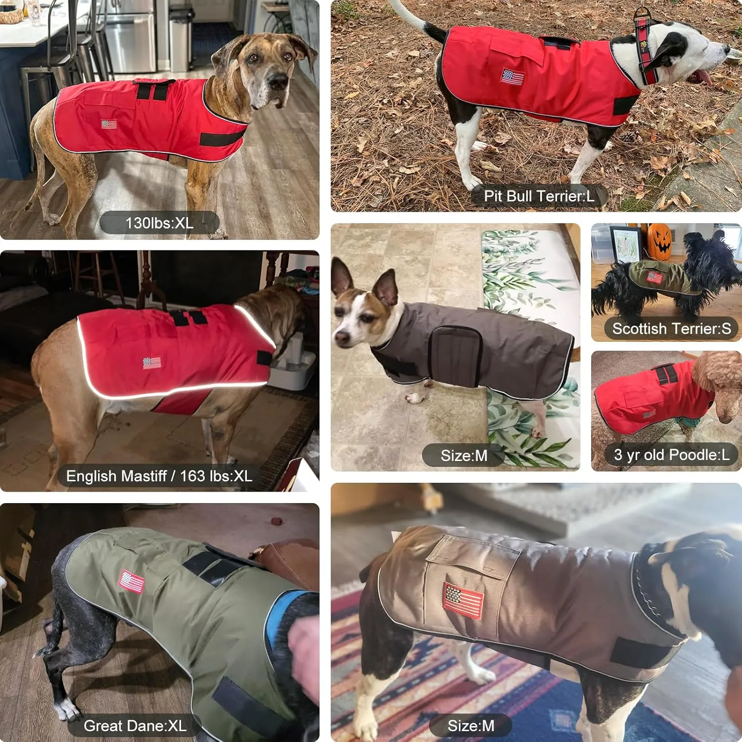 BEAUTYZOO Reflective Dog Winter Coat - Fleece Lined, Waterproof, Windproof Dog Jacket for Small to Great Dane Sizes