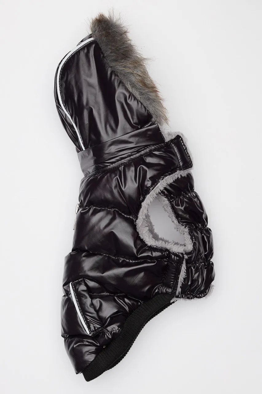 Black Winter Dog Jacket with Hood - Hip Doggie Elite Reflective Coat - Black