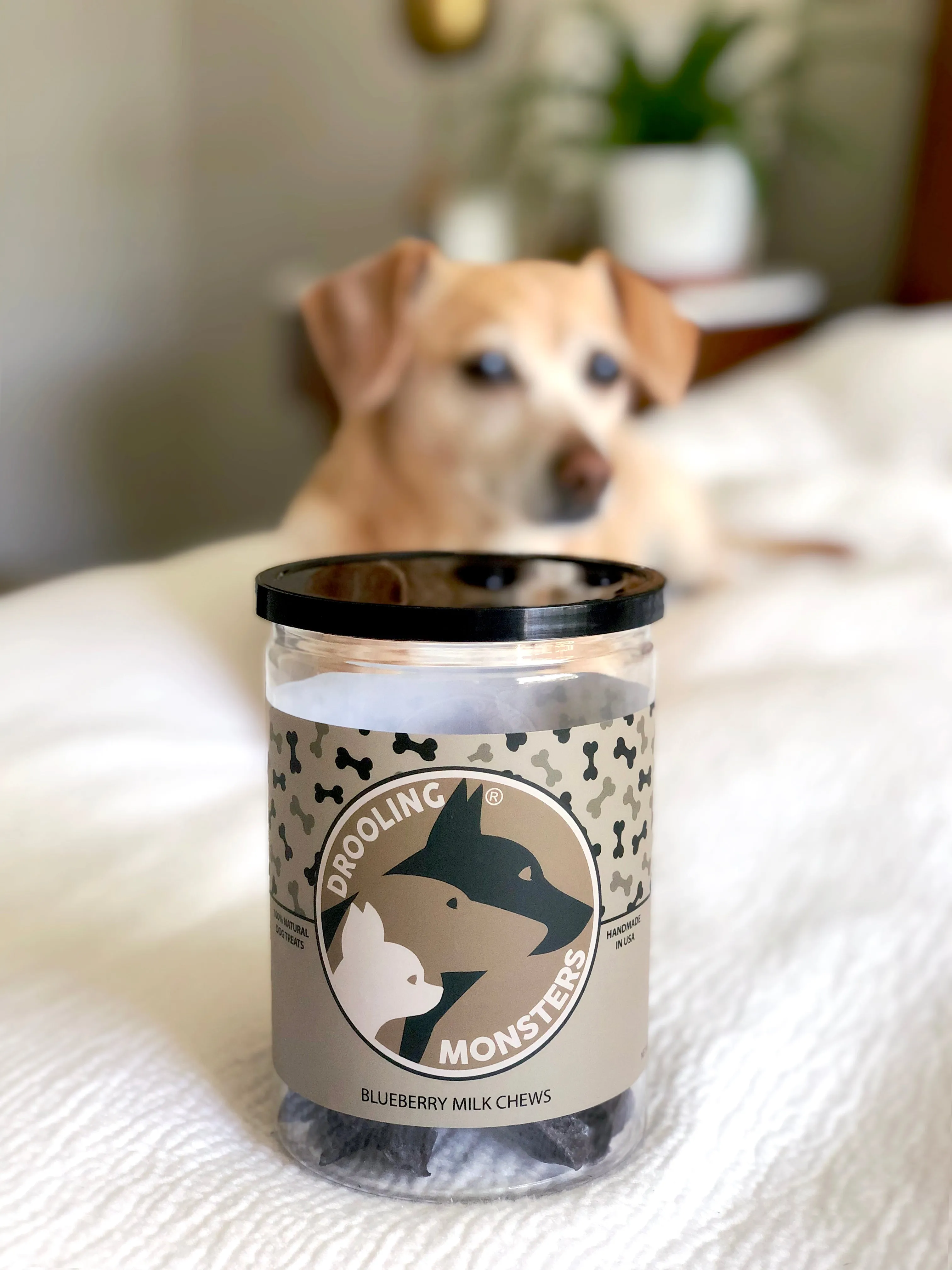 BLUEBERRY MILK CHEWS FOR DOGS