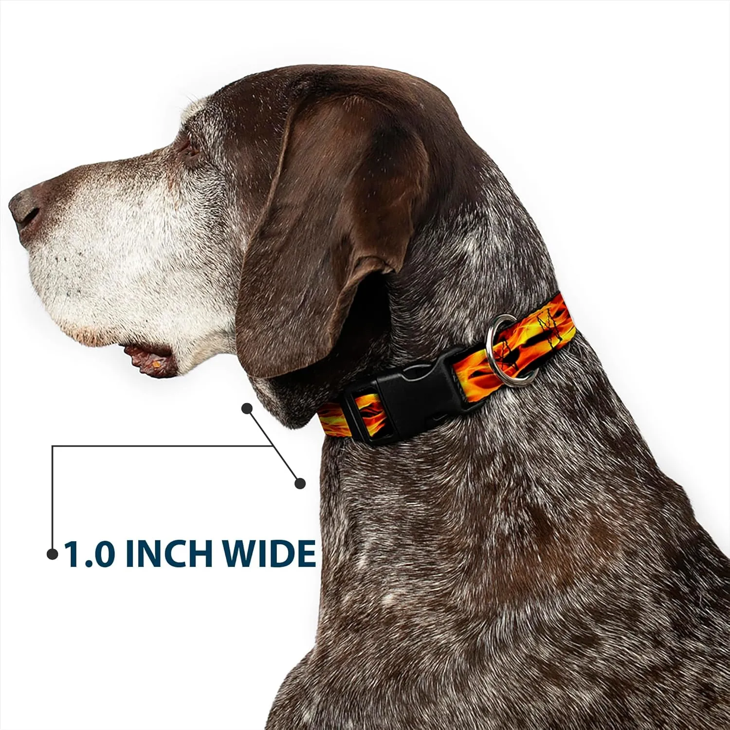 Buckle-Down Plastic Clip Collar - Flames Vivid Black/Orange - 1/2" Wide - Fits 9-15" Neck - Large