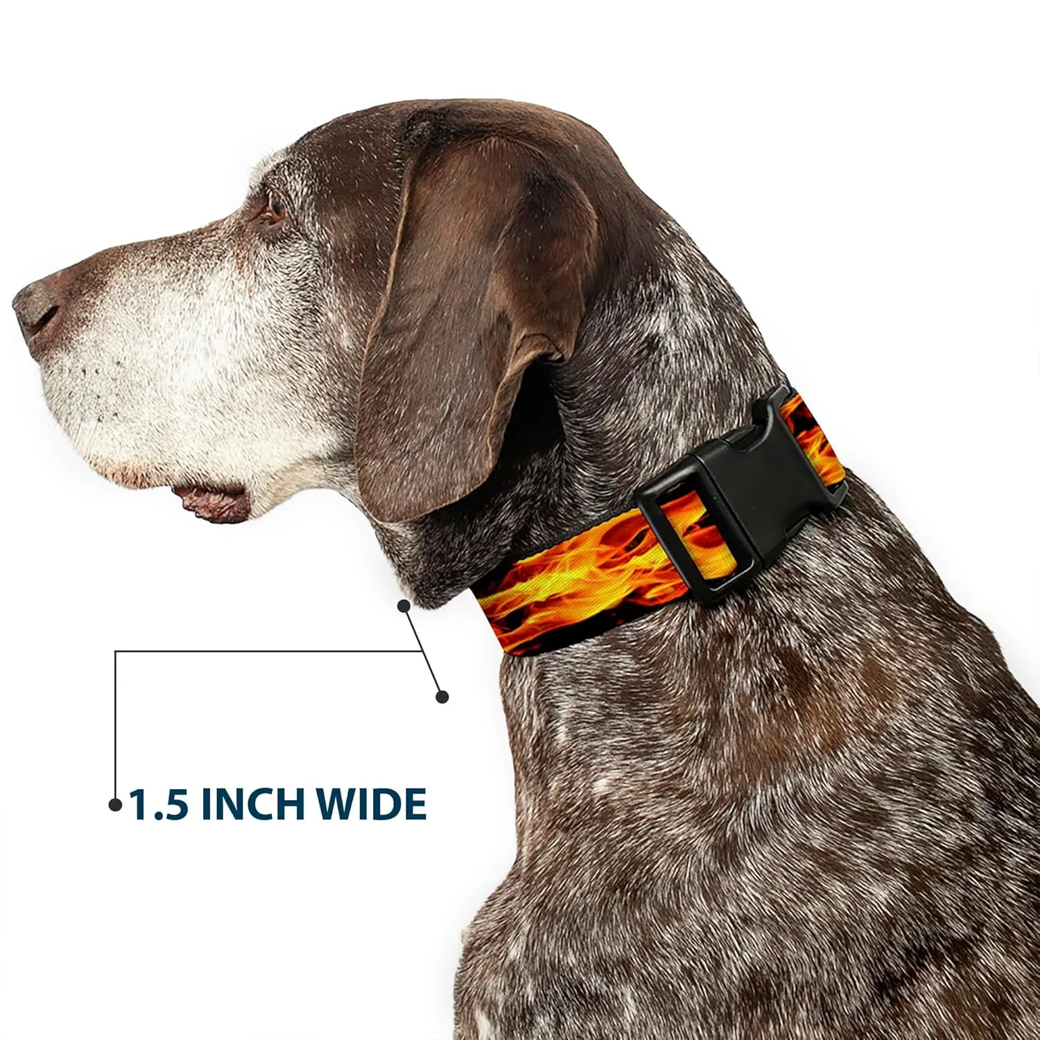 Buckle-Down Plastic Clip Collar - Flames Vivid Black/Orange - 1/2" Wide - Fits 9-15" Neck - Large