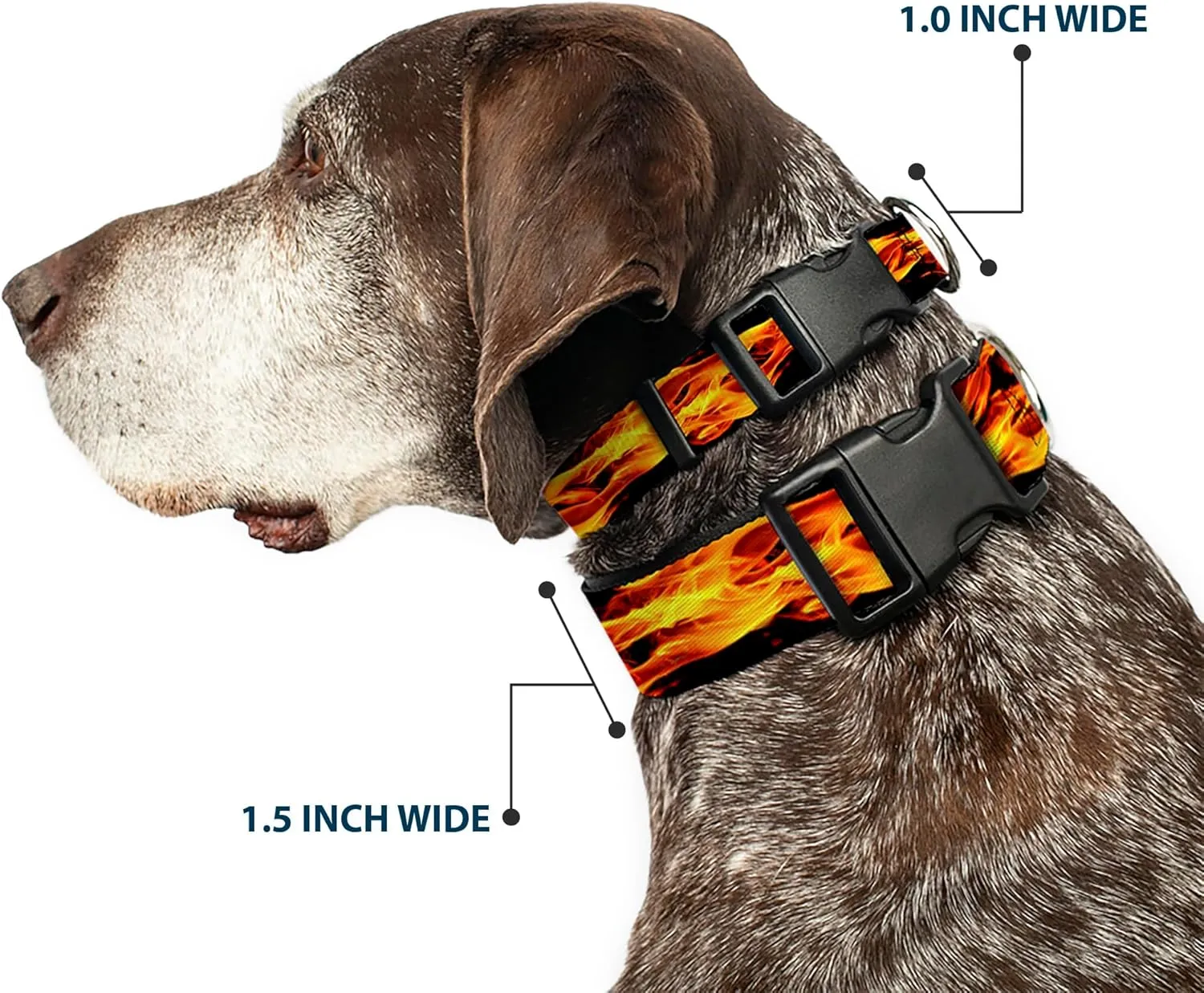 Buckle-Down Plastic Clip Collar - Flames Vivid Black/Orange - 1/2" Wide - Fits 9-15" Neck - Large
