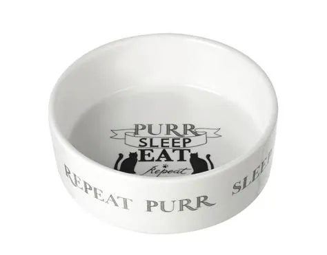 Ceramic Cat Bowls