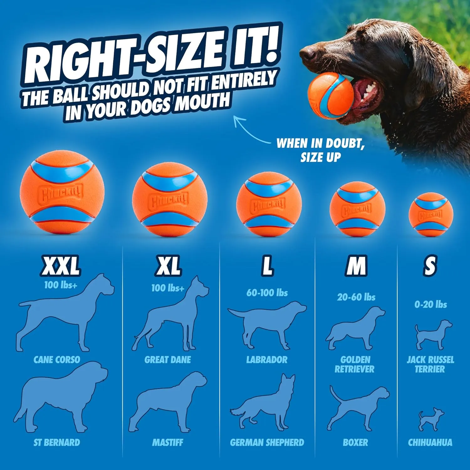 Chuckit! Ultra Ball Dog Toy, Balls for Dogs to Fetch, Durable Rubber, Small 2-inch, Pack of 2