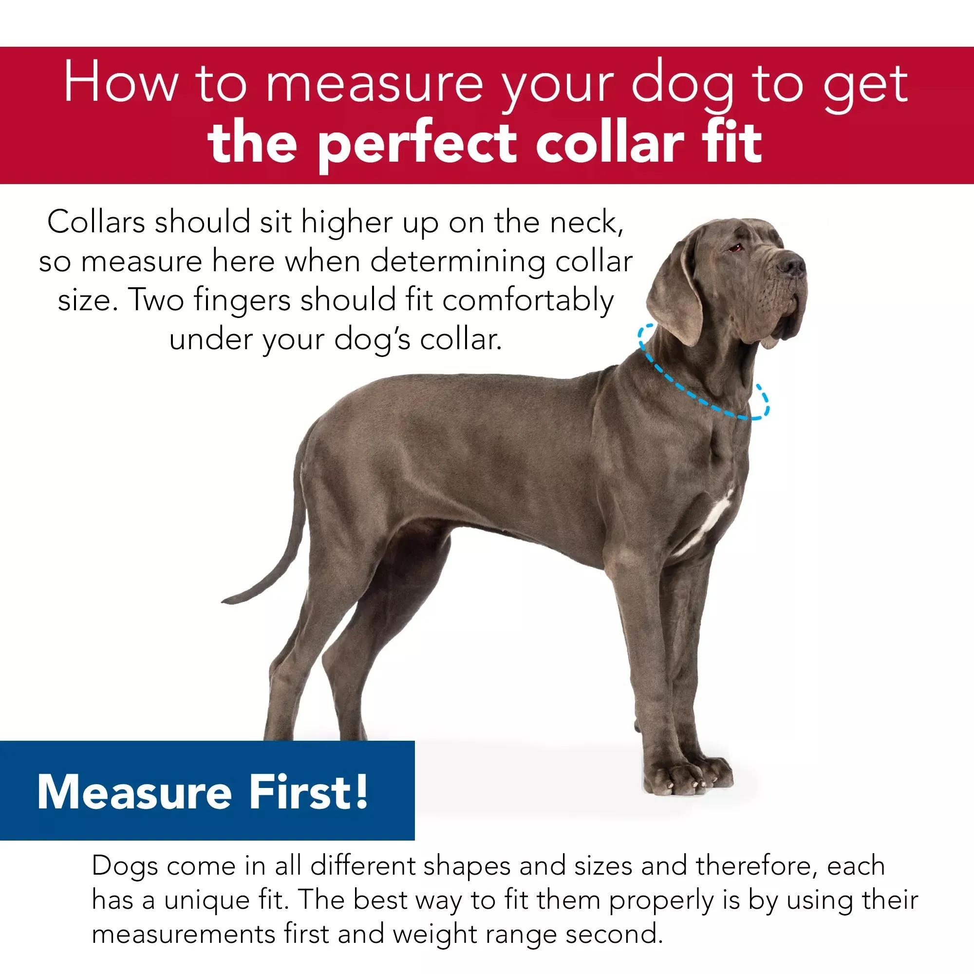 Coastal Pet Products Tuff Buckle Adjustable Nylon Large Dog Collar