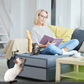 Couch Cat Claw Scratch Furniture Protector Pads