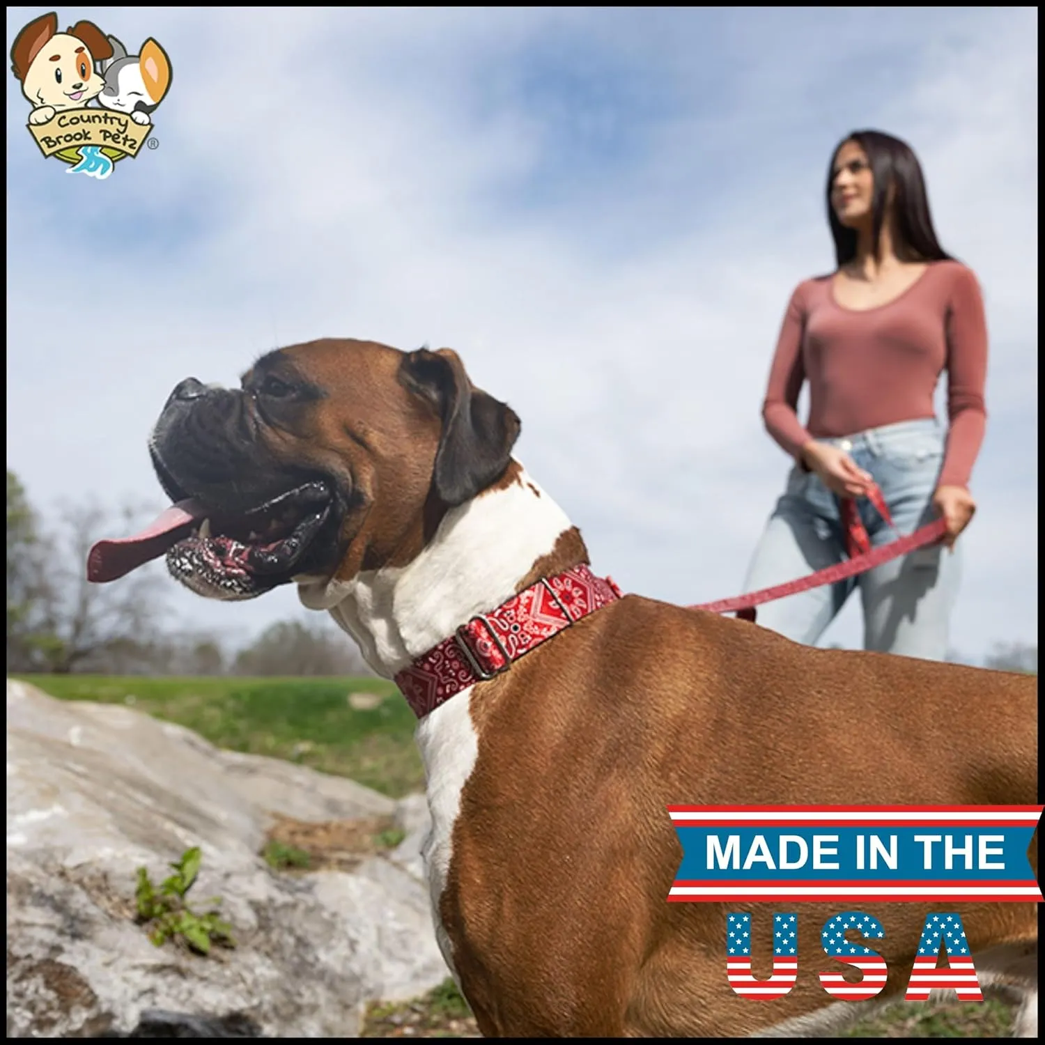 Country Brook Petz - Red Bandana Martingale Dog Collar - Country and Western Collection with 8 Rustic Designs (1 1/2 Inch, Large)