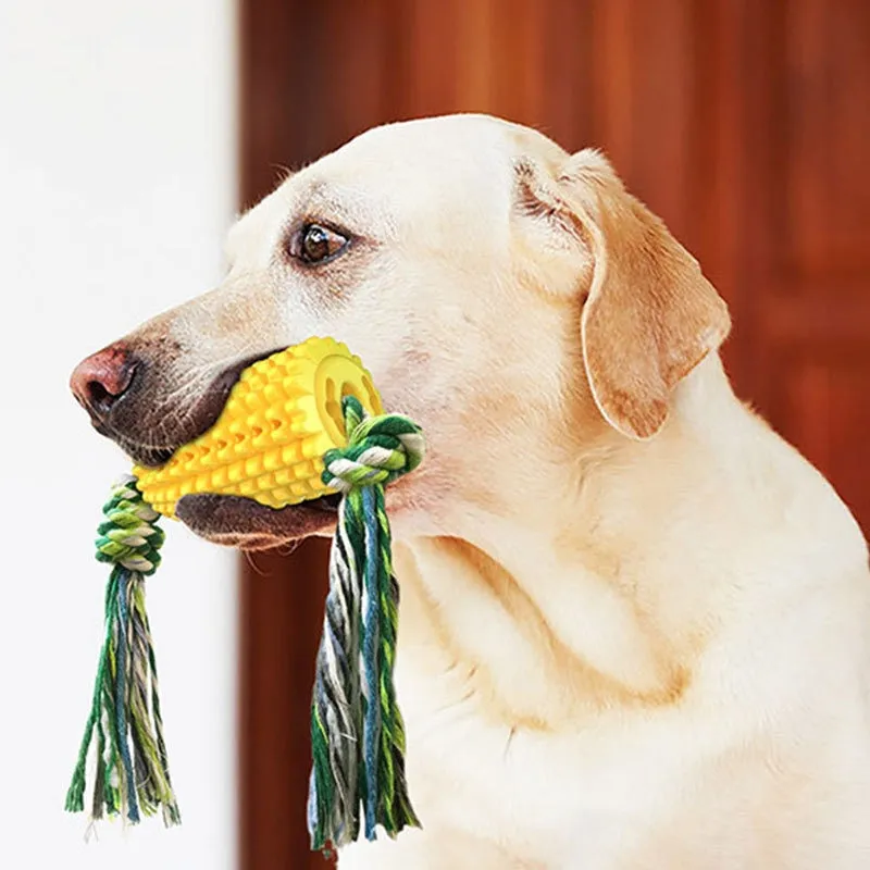 🐶Dog Chew Toys, Puppy Toothbrush Clean Teeth Interactive Corn Toys, Dog Toys Aggressive Chewers Small Meduium Large Dogs