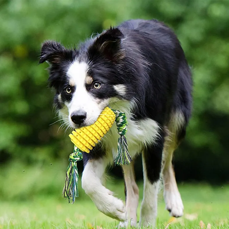 🐶Dog Chew Toys, Puppy Toothbrush Clean Teeth Interactive Corn Toys, Dog Toys Aggressive Chewers Small Meduium Large Dogs