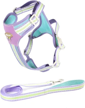 Dog Harness with Reflective Strips & Breathable Mesh - No-Pull Vest for Small Dogs, Step-in Design Includes Leash
