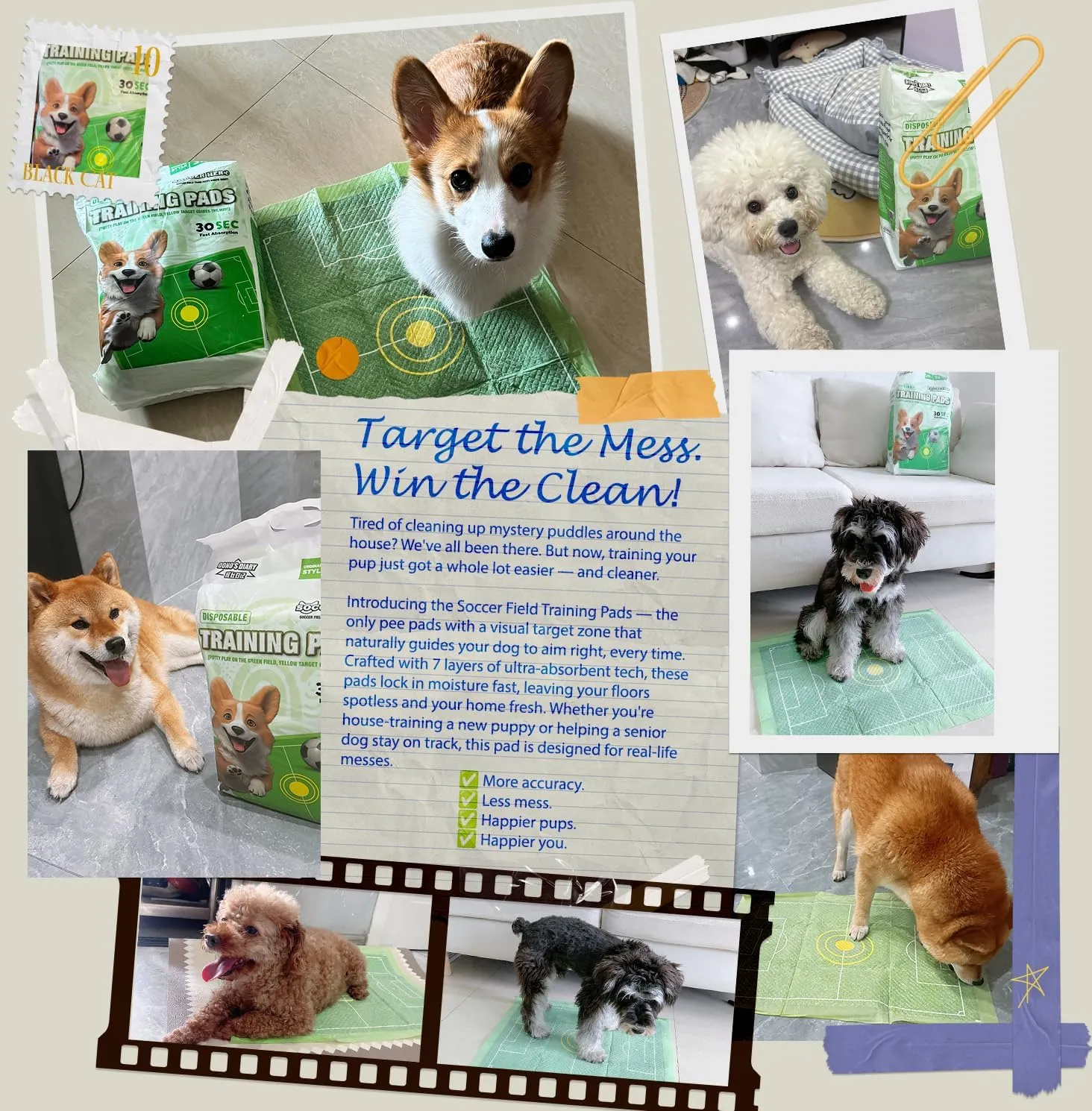Dog Training Pads, Extra Thick Leak-Proof Pee Pads for Puppies and Senior Dogs  5-Layer Absorbent Core, Fast Drying & Odor Lock (Bullseye Induction-Four-Corner Stickers,M: 18 * 24 in,1)