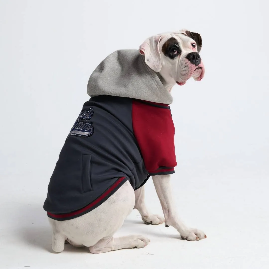 Dog Varsity Jackets
