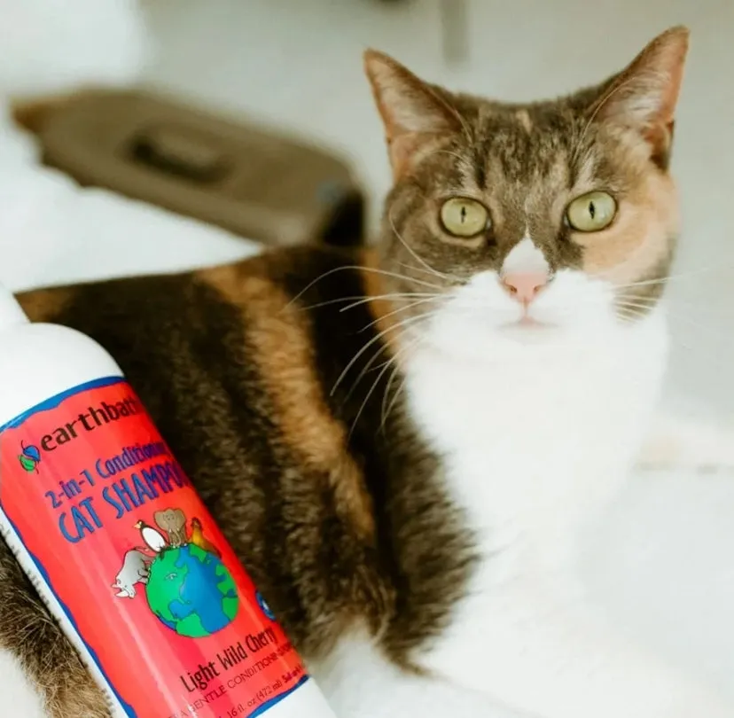 EARTHBATH Wild Cherry 2-in-1 Cat Conditioning Shampoo – Gentle, Cruelty-Free, Made in USA | Safe Kitty Shampoo & Conditioner | 16 Oz