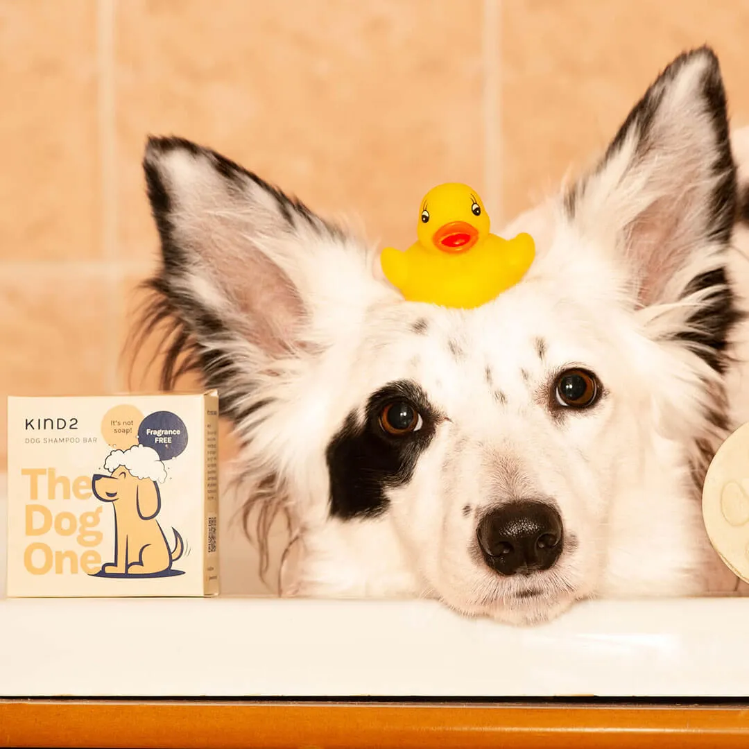 Fragrance Free Dog Shampoo Bar Bundle