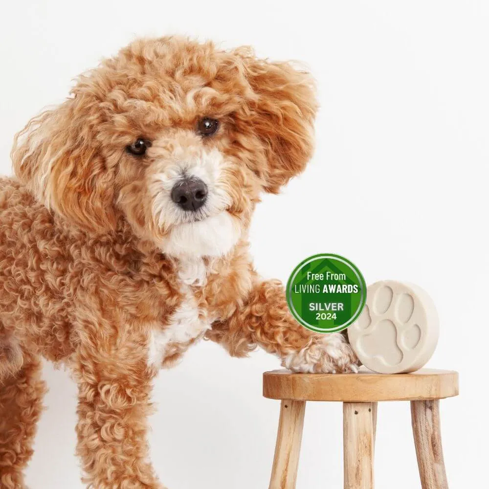 Fragrance Free Dog Shampoo Bar Bundle
