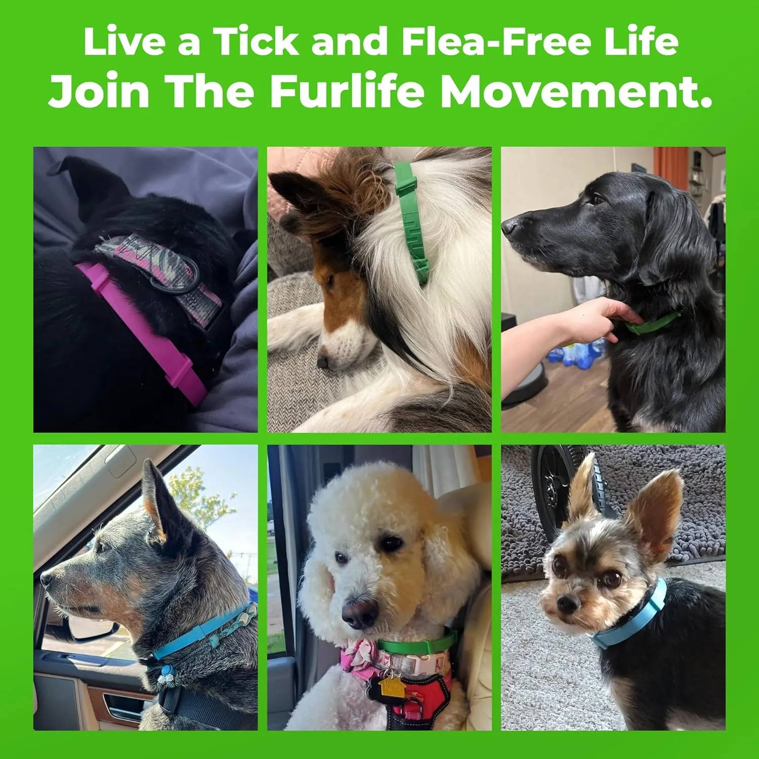 FurLife Flea and Tick Collar for Dogs  Waterproof Grey Dog Collar, Pet Supplies for Tick and Flea Prevention for Dogs, Safe for All Breeds