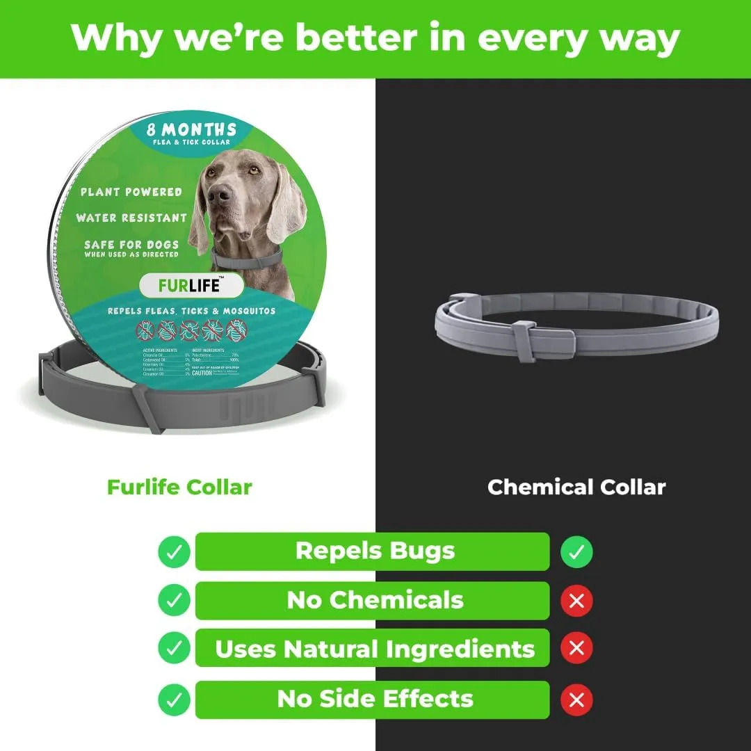 FurLife Flea and Tick Collar for Dogs  Waterproof Grey Dog Collar, Pet Supplies for Tick and Flea Prevention for Dogs, Safe for All Breeds