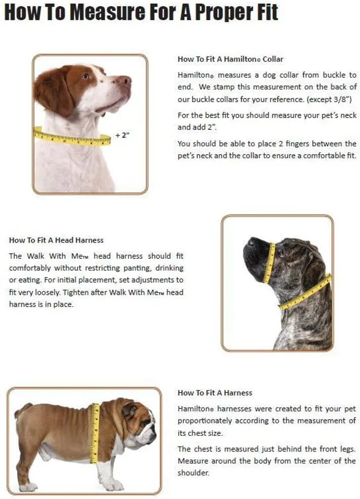 Hamilton 5/8-Inch by 14-Inch Single Thick Nylon Deluxe Dog Collar, Blue
