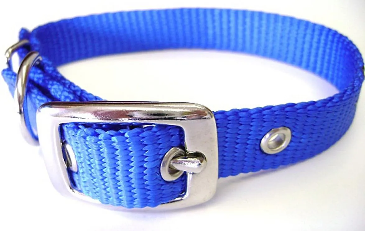 Hamilton 5/8-Inch by 14-Inch Single Thick Nylon Deluxe Dog Collar, Blue