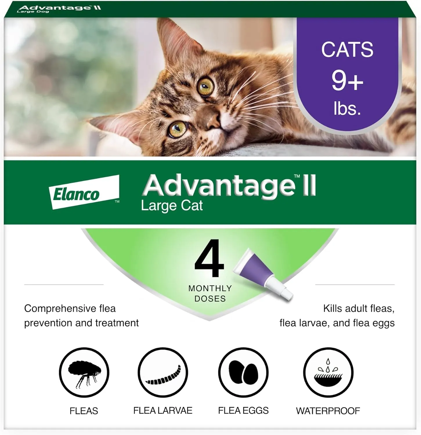 Large Cat Vet-Recommended Flea Treatment & Prevention | Cats over 9 Lbs. | 4-Month Supply