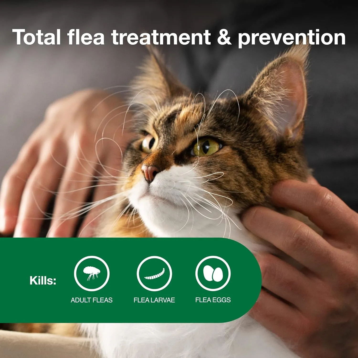 Large Cat Vet-Recommended Flea Treatment & Prevention | Cats over 9 Lbs. | 4-Month Supply