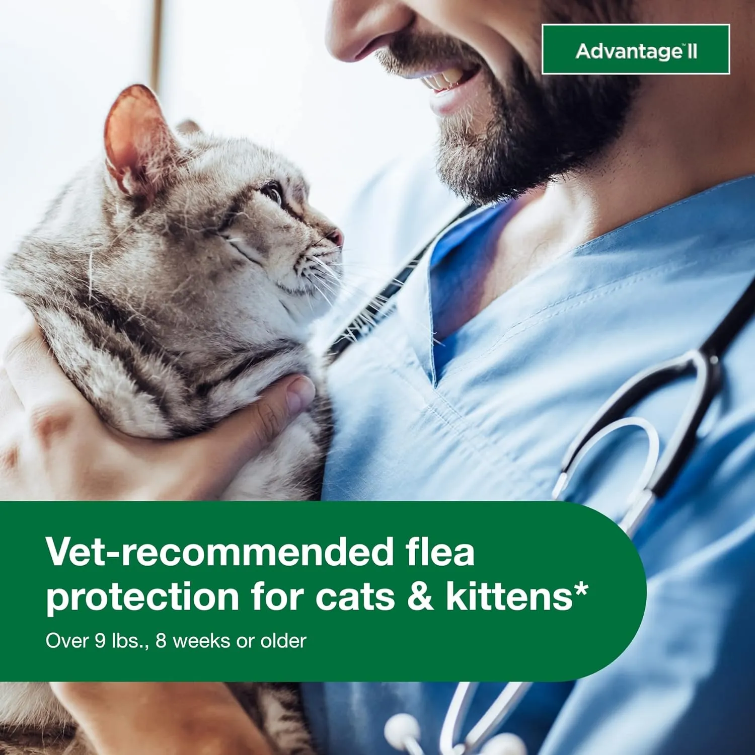 Large Cat Vet-Recommended Flea Treatment & Prevention | Cats over 9 Lbs. | 4-Month Supply