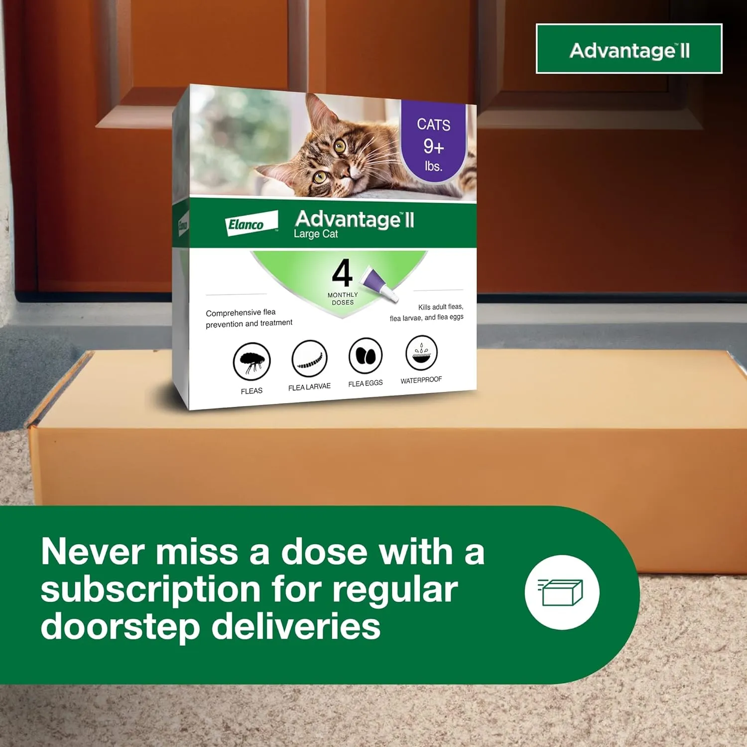 Large Cat Vet-Recommended Flea Treatment & Prevention | Cats over 9 Lbs. | 4-Month Supply