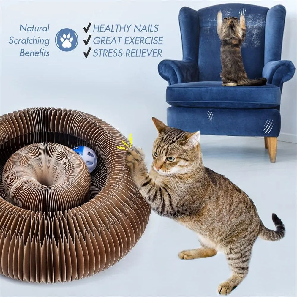 Magic Organ Cat Scratch Board Cat Toys With Ball Bell Cat Scratcher Round Corrugated Toys for Cats Grinding Claws Climbing Frame