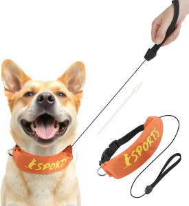 NAMSAN Retractable Dog Leash Collar for Medium to Large Dogs, Dog Collar with Retractable Leash Built-in, All-in-One, Adjustable, Orange