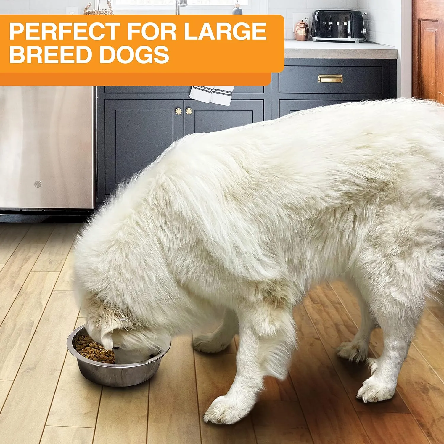 Neater Pet Brands Stainless Steel Dog and Cat Bowls (2 Pack) - Extra Large Metal Food and Water Dish (12 Cup)
