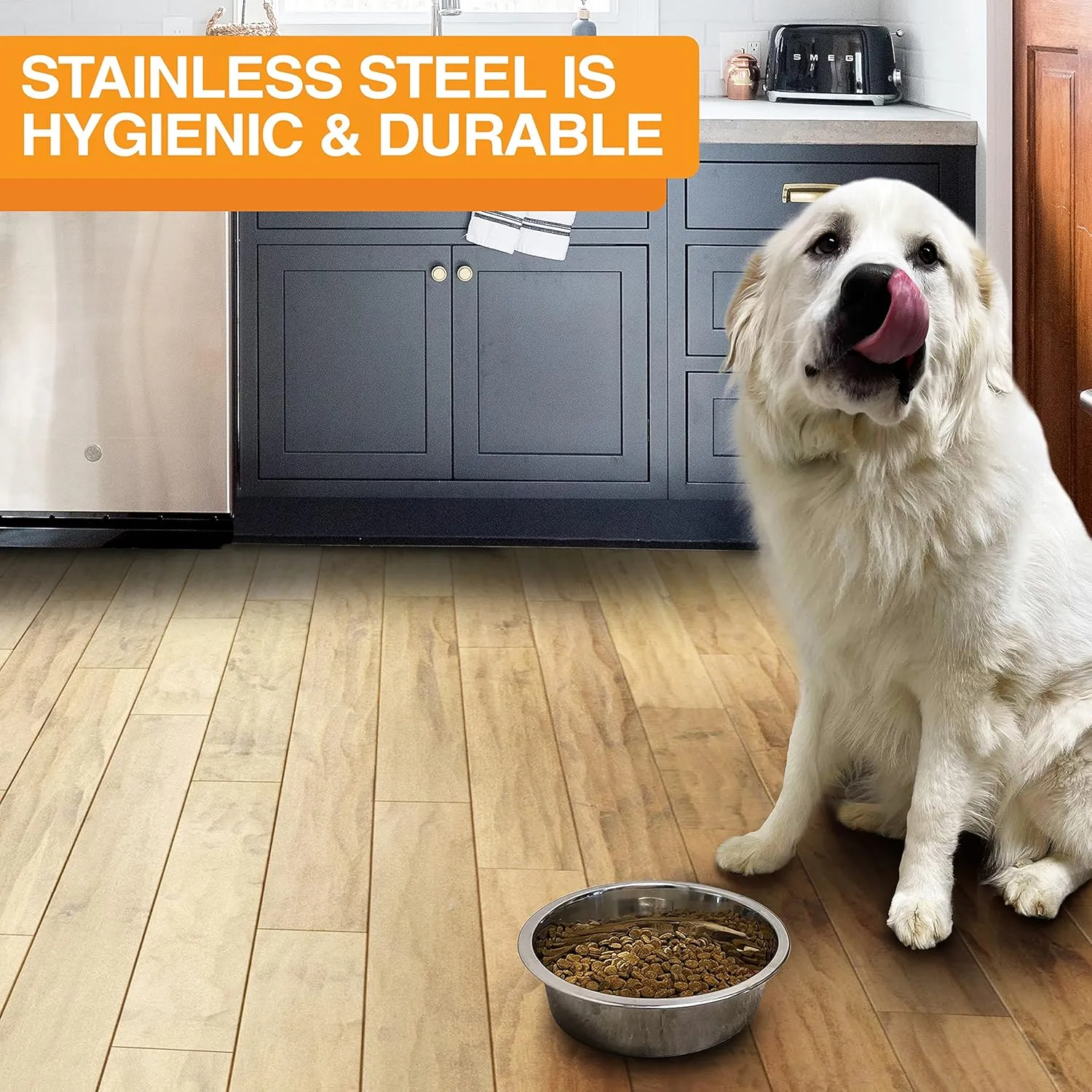Neater Pet Brands Stainless Steel Dog and Cat Bowls (2 Pack) - Extra Large Metal Food and Water Dish (12 Cup)