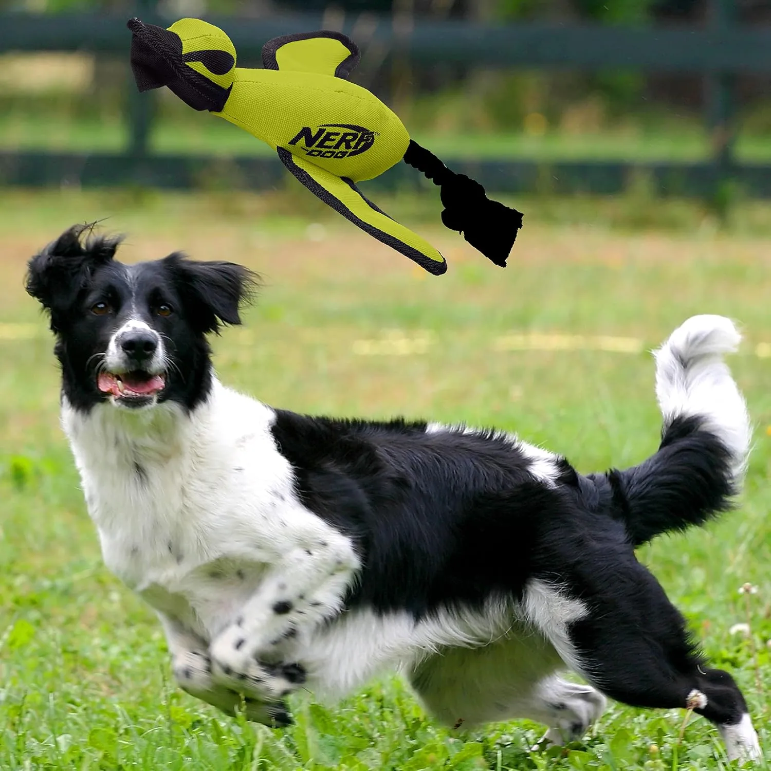Nerf Dog Trackshot Launching Duck Dog Toy, 16.5 Dog Fetch Toy for Medium and Large Breeds, Green