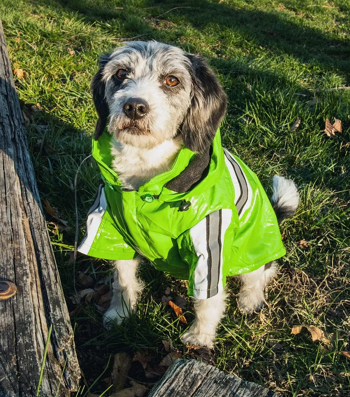 Pet Life  Reflecta-Glow PVC Dog Raincoat - Reflective and Waterproof Dog Coat with Reversible Polar Fleece - Adjustable Pet Raincoat Dog Jacket on All 4 Sleeves with Removable Hood