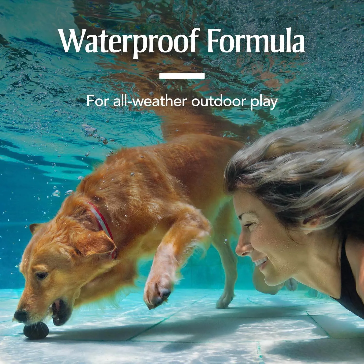 PETARMOR Plus for Small Dogs 5-22 lbs, Flea & Tick Prevention for Dogs, 6-Month Supply