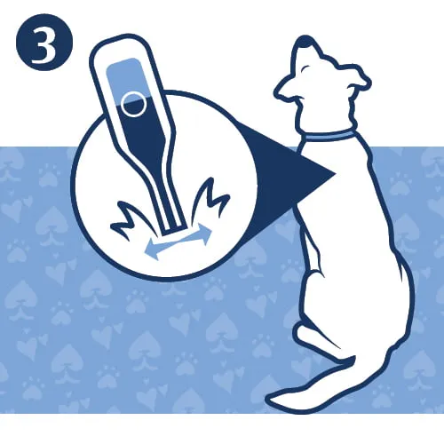PETARMOR Plus for Small Dogs 5-22 lbs, Flea & Tick Prevention for Dogs, 6-Month Supply